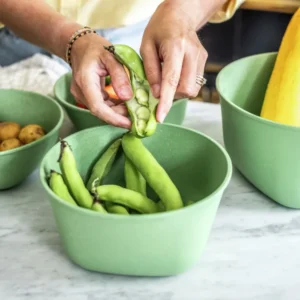 Decorativos y Sostenibles