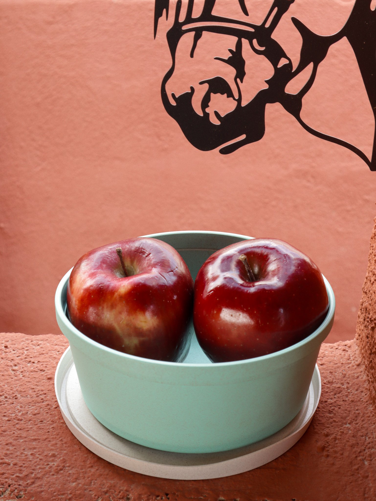 Set Transparente de Cajas Eco – 3 uds - Imagen 3